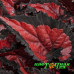 Бегония Beleaf Inca Night