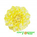 Георгина Hypnotica Lemon Swirl