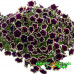 Петуния Cascadias Rim Magenta