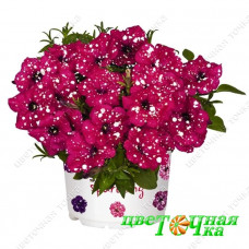 Петуния Surprise Sparkling Cardinal
