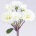 Примула Pollyanna Frosty White Примула Pollyanna Frosty White