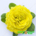 Примула Belarina Day-Glo Yellow