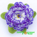 Примула Belarina Blue Ripples Примула Belarina Blue Ripples