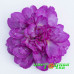 Примула Pretty Polly Deep Lilac Примула Pretty Polly Deep Lilac