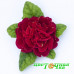 Primula Prima Belarina Scarletta